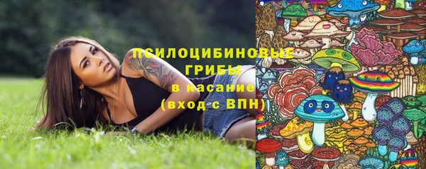 МДМА Медвежьегорск
