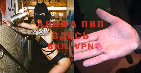 ПСИЛОЦИБИНОВЫЕ ГРИБЫ Новосибирск