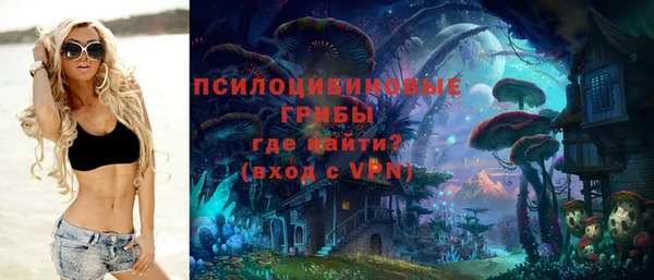 МДМА Медвежьегорск