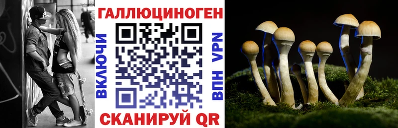 Галлюциногенные грибы мицелий  Пятигорск 