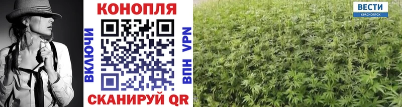 цены наркотик  Пятигорск  mega ССЫЛКА  Канабис семена 